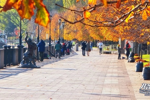 ☀️ Солнечный день на ростовской..