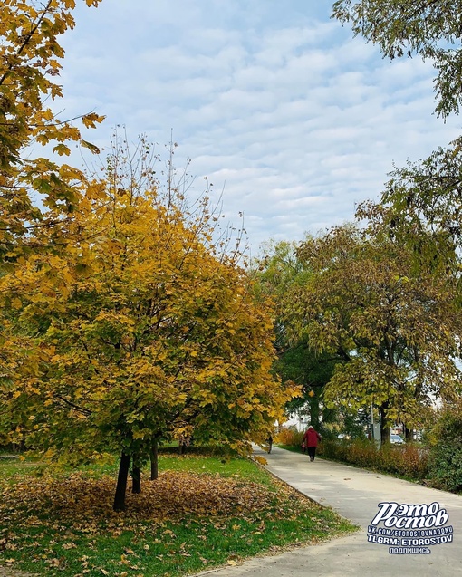 Золотая осень в Aлександровке..