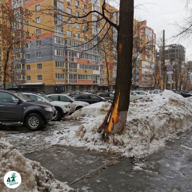 💸🌳❄  1 миллиард рублей заложили на содержание объектов озеленения Нижнего Новгорода в 2024 году  Передает..