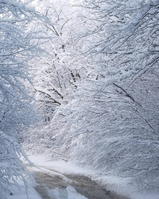 Утренняя снежная сказка была сегодня в окрестностях Новороссийска❄️☃️
📹Олег..