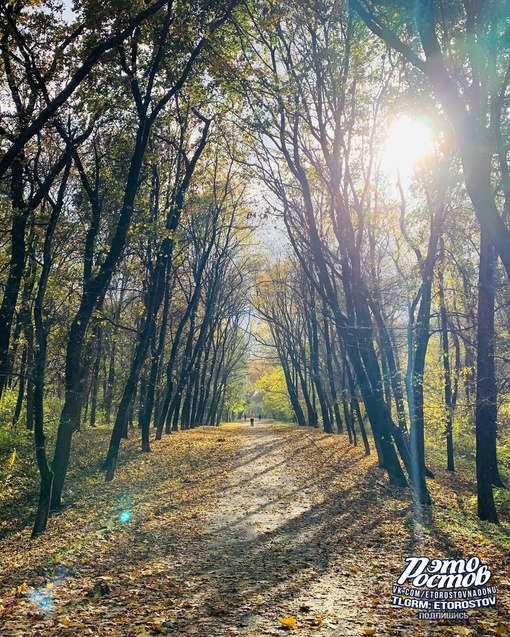 🍁 Осень в парке Авиаторов..