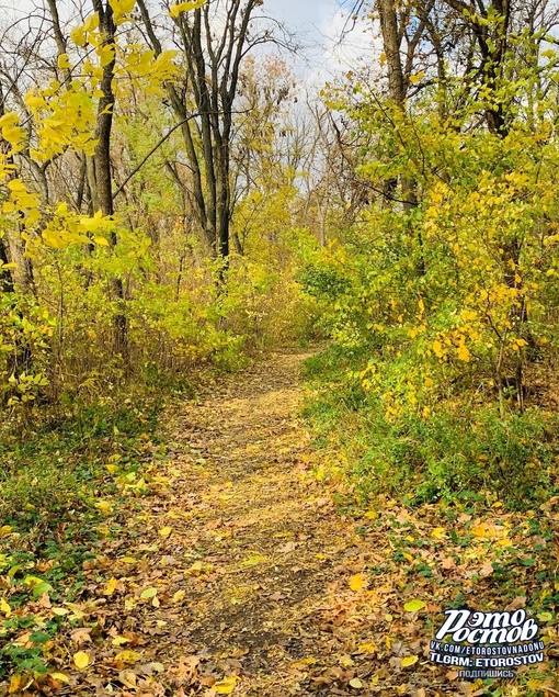 🍁 Осень в парке Авиаторов..