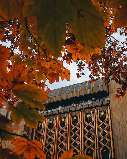 Когда опрокинул банку оранжевой краски и наследил вокруг 🍁🍂🍁🍂
Автор фото:..