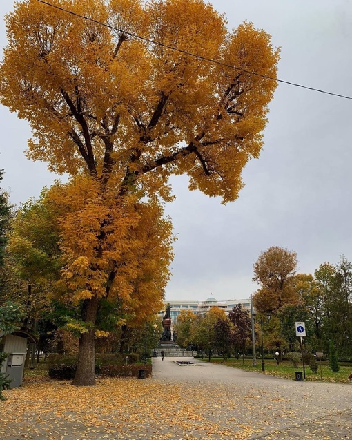 Краснодар в статусе «облачно, немного свежо, но всё равно не холодно» ✌️  Фото petit...