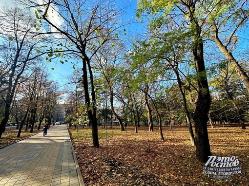 🌳 Парк Горького включен в Федеральный Реестр «Всероссийская Книга Почета» 2023 года. Ему в этом году..