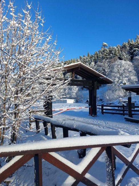 ☃️Лаго-Наки в белом и пушистом наряде. ❄️  Фото:..