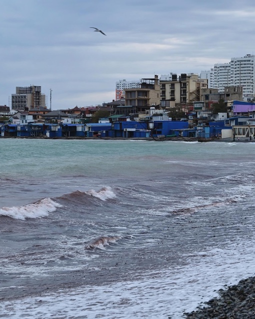 На днях море в районе Алексино приобрело красноватый оттенок 🌊  Фото..