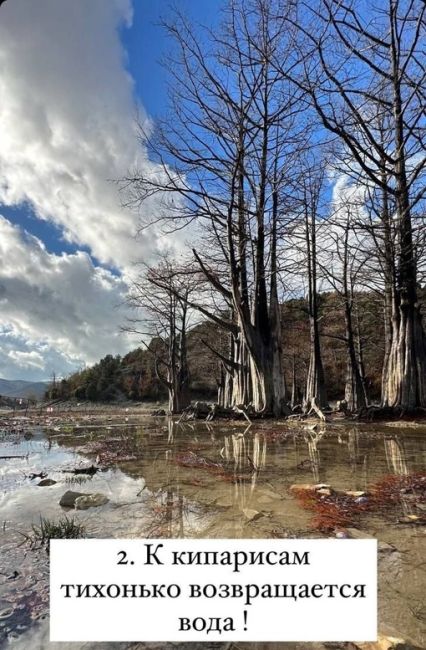 🌳На Кипарисовое озеро в Сукко пришла долгожданная..