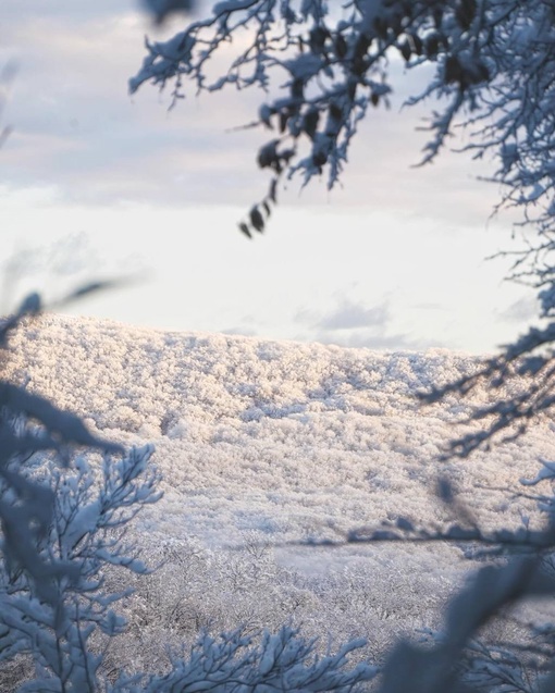 Утренняя снежная сказка была сегодня в окрестностях Новороссийска❄️☃️
📹Олег..