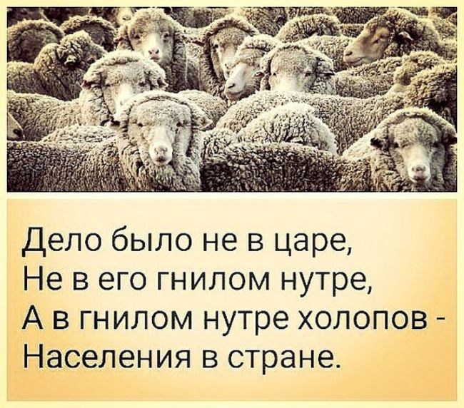 Эстония и Норвегия могут закрыться от РФ следом за Финляндией  Этой ночью из-за наплыва беженцев из третьих..