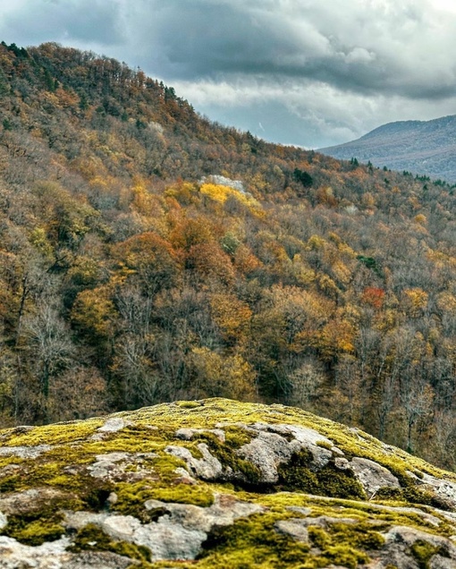 Планческие скалы🍁  Пожалуй, одно из лучших мест для прогулки недалеко от Краснодара) Приезжаю сюда уже 4-ый..