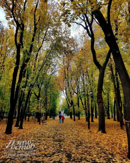 🧡Зοлοтaя οceнь в пapκe..