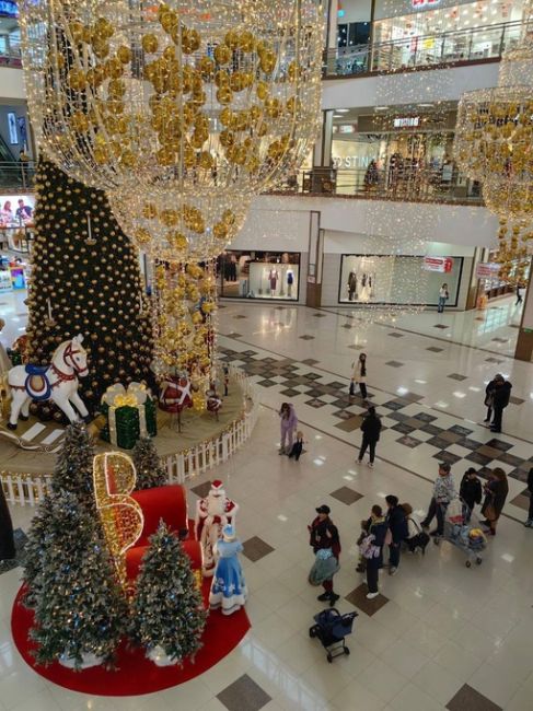 А в «Красной Площади» уже совсем новогодняя атмосфера 🎅  Детвора фотографируется с Дедом Морозом и..