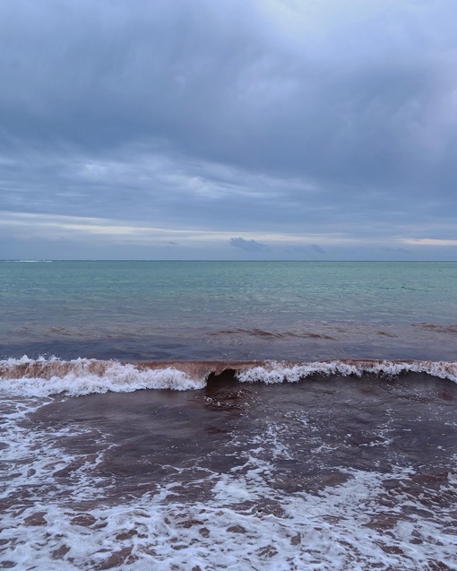 На днях море в районе Алексино приобрело красноватый оттенок 🌊  Фото..