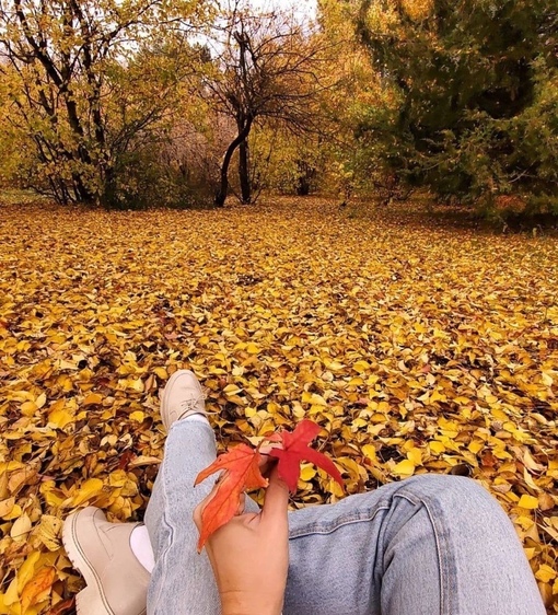 Фотопрогулка по Щепкинскому лесу в Ростове..