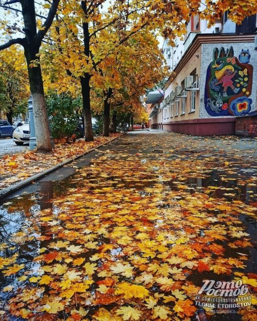 Осенний Таганрог..