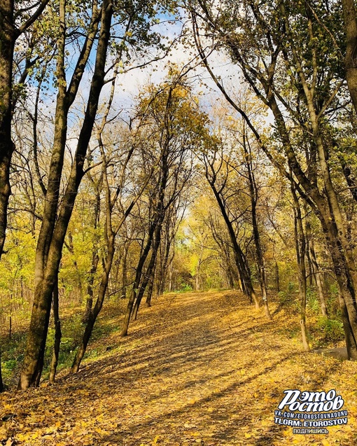 🍁 Осень в парке Авиаторов..