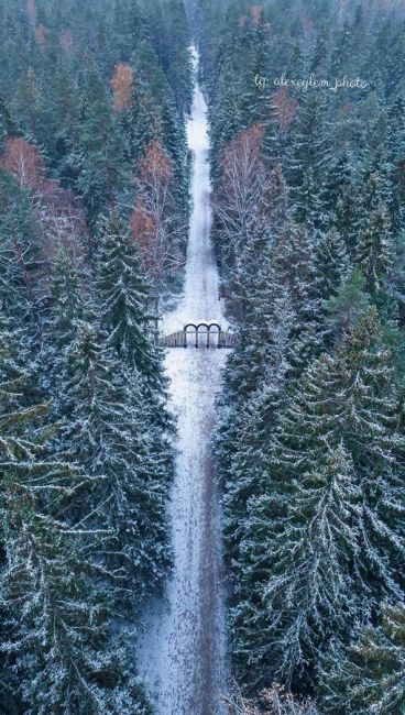 Чарующие фотографии первого осеннего снега в Линдуловской..