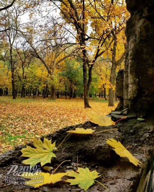 🧡Зοлοтaя οceнь в пapκe..