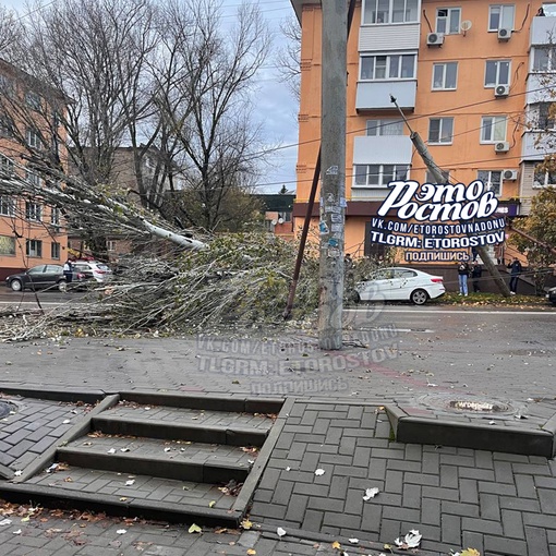 ⚠🌳 На Ленина, 90/1, на машину упал тополь, зацепив за собой провода. Перекрыто две..