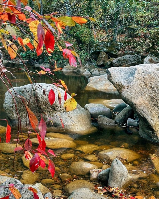 Планческие скалы🍁  Пожалуй, одно из лучших мест для прогулки недалеко от Краснодара) Приезжаю сюда уже 4-ый..