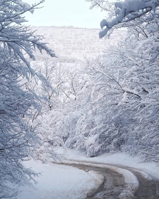 Утренняя снежная сказка была сегодня в окрестностях Новороссийска❄️☃️
📹Олег..