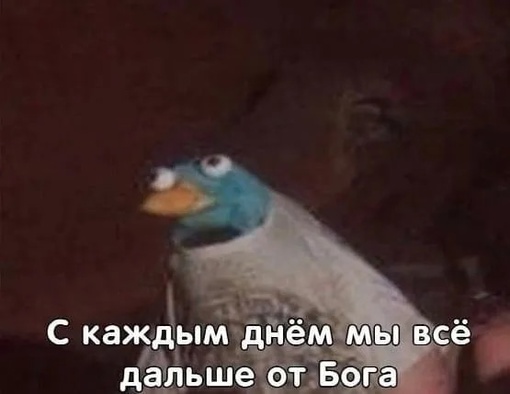 Ростовское отделение КПРФ собрало 14 тысяч подписей за отставку главы ростовской администрации Алексея..