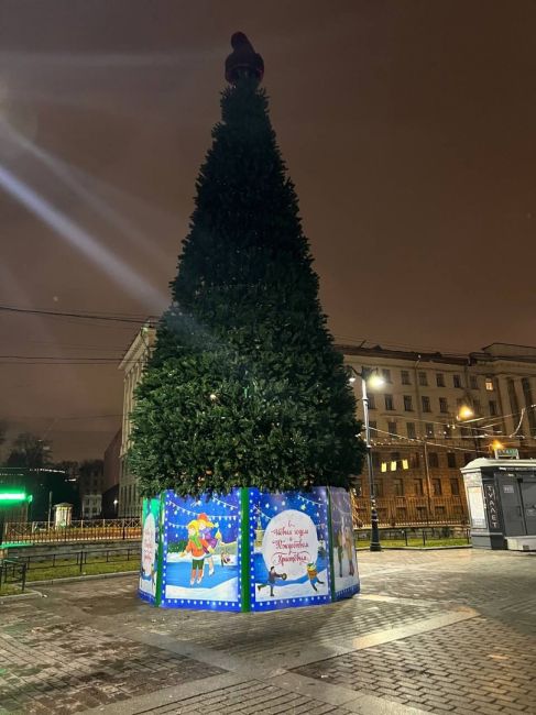 Праздник к нам приходит: у станции метро «Чёрная речка» уже появился главный новогодний символ. А вы Новый..