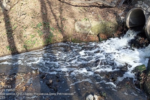 В Щепкинском лесу жители заметили, что в местном водоеме плавает какая-то пена  Они считают, что таким..