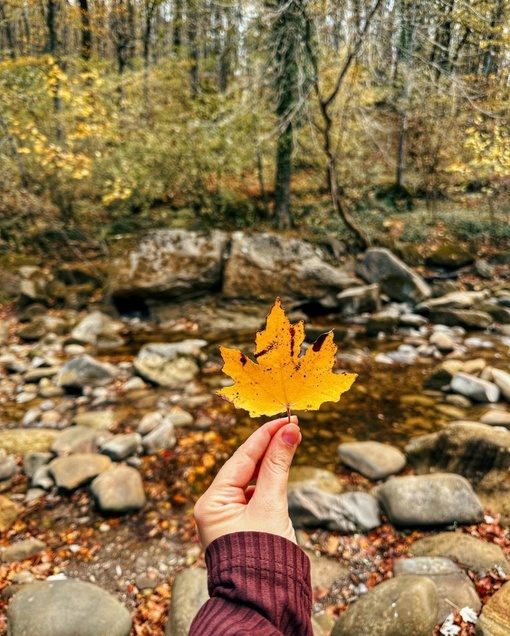 Планческие скалы🍁  Пожалуй, одно из лучших мест для прогулки недалеко от Краснодара) Приезжаю сюда уже 4-ый..