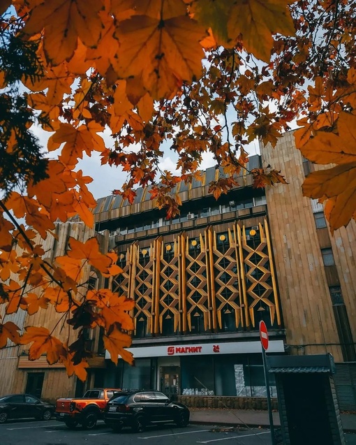 Когда опрокинул банку оранжевой краски и наследил вокруг 🍁🍂🍁🍂
Автор фото:..