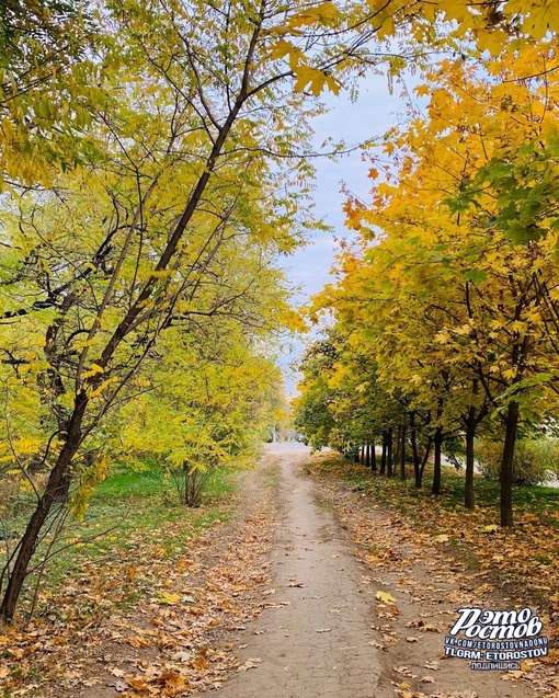 Золотая осень в Aлександровке..