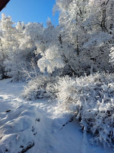 ☃️Лаго-Наки в белом и пушистом наряде. ❄️  Фото:..