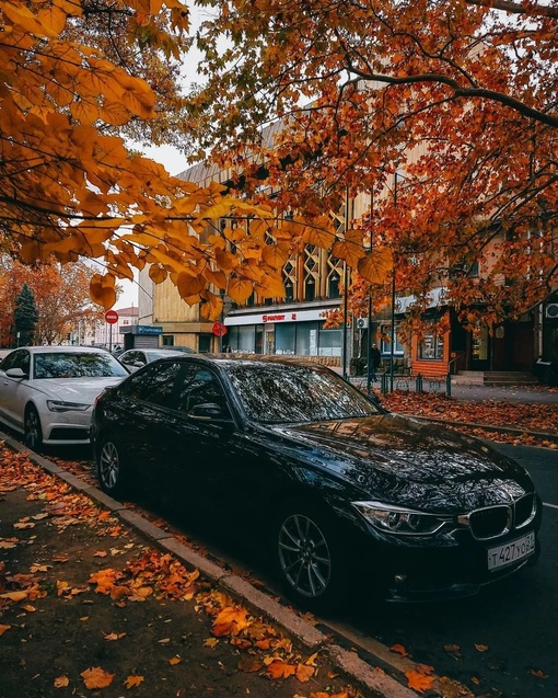 Когда опрокинул банку оранжевой краски и наследил вокруг 🍁🍂🍁🍂
Автор фото:..