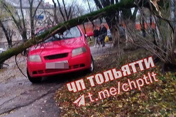 В Самаре и Тольятти утром в пятницу упавшие деревья повредили как минимум 3 автомобиля  Произошедшее сняли..