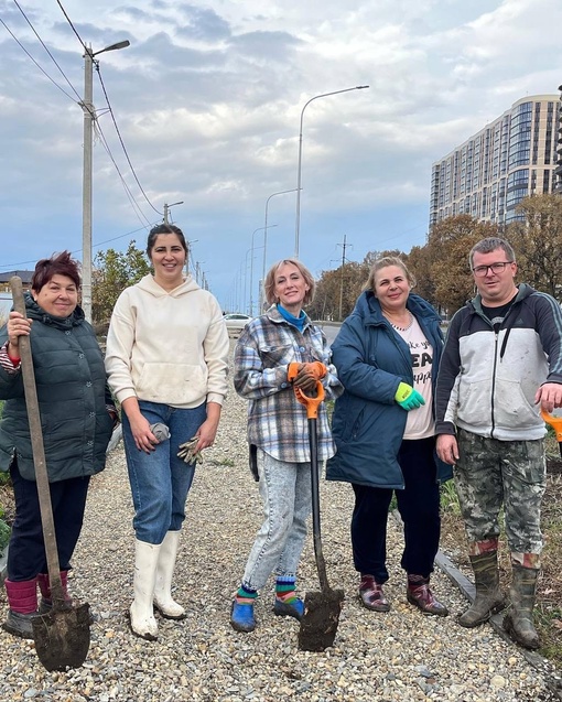 Жители Краснодара продолжают сажать деревья 🌳🌳🌳  Вчера на улице Батуринской высадили более 100 павлоний и..