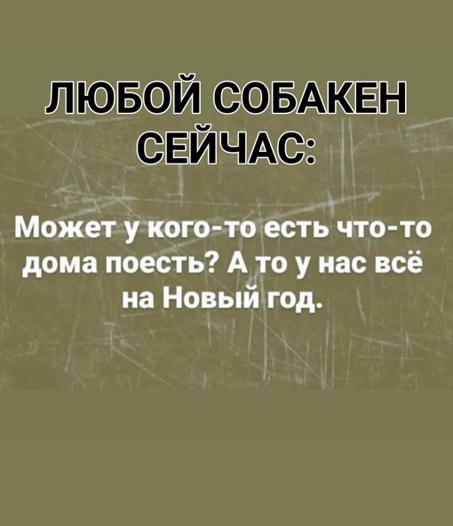 Вечерний чат «Ростов Главный», подключайся!  Последний в 2023 году. Как настроение?
(пишем в..