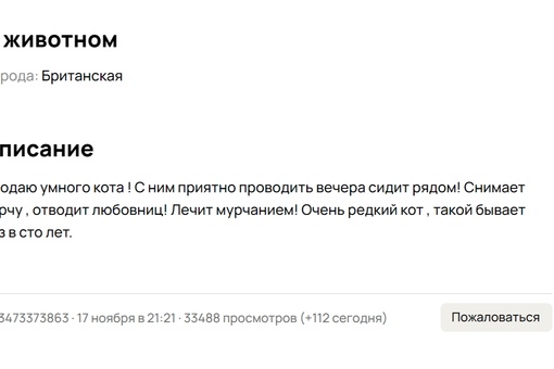 В Казани продают кота, который отводит любовниц за 2,5 млн руб 
Продавец пишет, что с котом классно проводить..