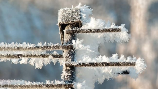 От -30° до -1°C: Синоптики рассказали, когда резко потеплеет в Самаре 
Долгосрочный прогноз погоды  Синоптики..