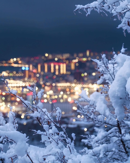 Новороссийск, припорошенный снегом 😍❄️  Фото..