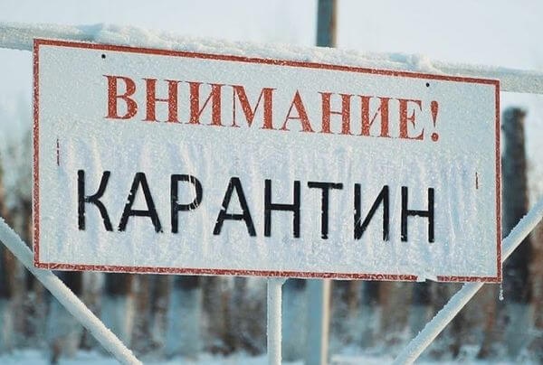 В Самарской области нашли новые очаги лептоспироза и бруцеллеза  Карантин введен в селах Кинельского и..