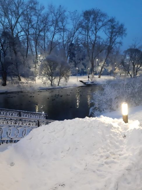 Как провели..