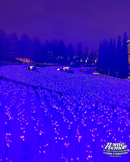 🦋🎄 Красивый и новогодний парк Галицкого в..