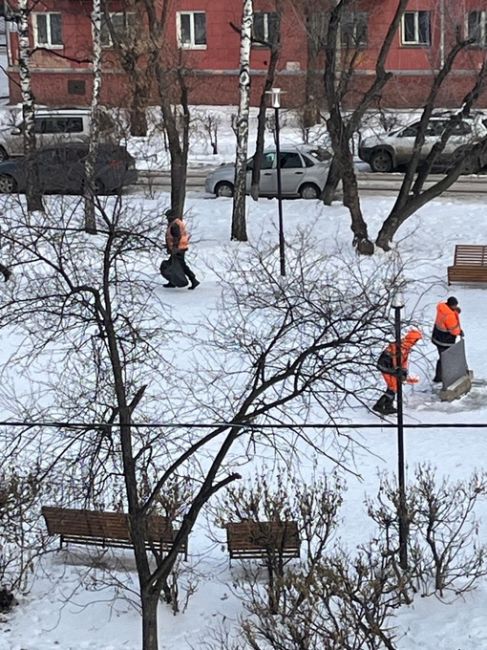 Нам пишут: "Второй день приходят чистить дорожки в сквере Юбилейный в Ленинском районе. В итоге сделали фото..