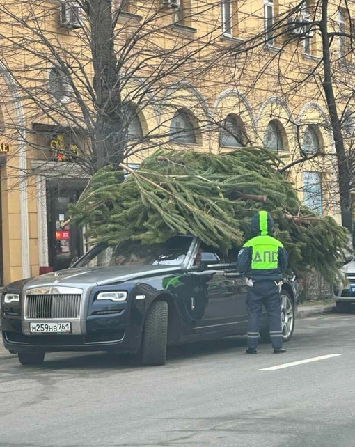 В центре Ростова неизвестные раздают бесплатно ёлки и яйца. Всем у кого нет денег..