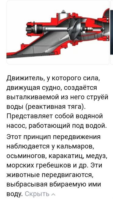 Baza: в Самаре женщине разорвало органы  Стало известно о трагическом случае на реке Самара летом 2023  Стало..