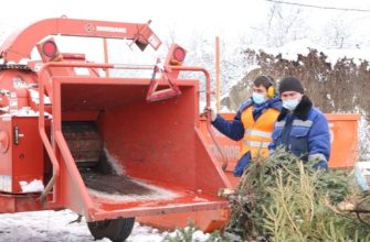 Предприятия перерабатывающие древесину размещаются