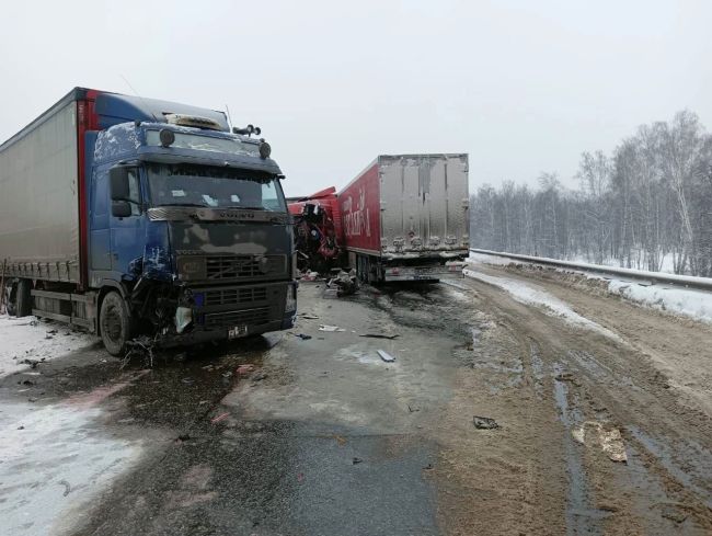 Новосибирцы попали в страшную аварию в Башкирии и потеряли собаку  Жуткое ДТП произошло вблизи села Буздяк...