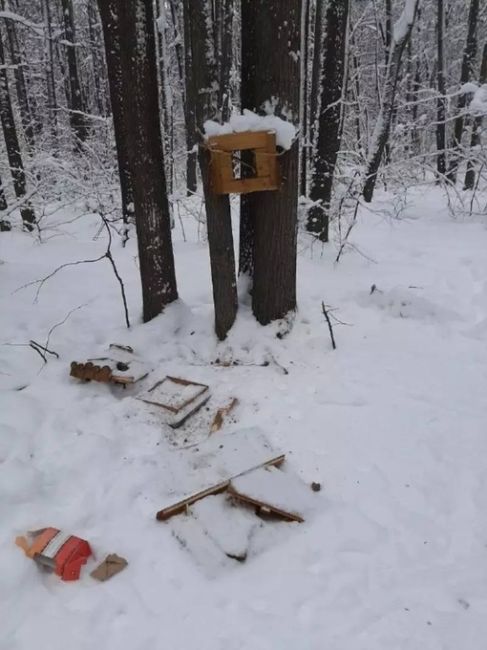 В Горкинско-Ометьевском лесу вандалы разнесли кормушки для животных 😡  В Казани начались сильные морозы, а..