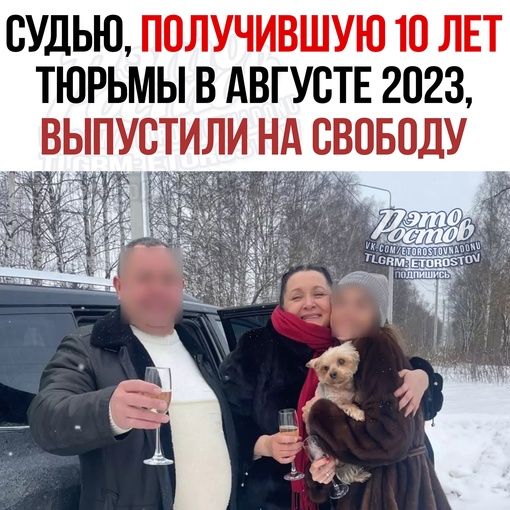 Указ судьи 2023